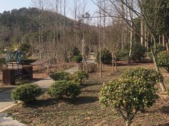 -石塘人家