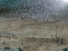 -椰风寨