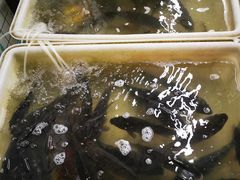 -谊品生鲜折扣店(伟清中环店)