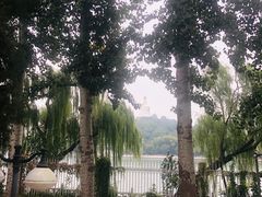 -国家图书馆·古籍馆