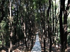 -火炉山森林公园