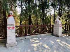 -四门塔风景区