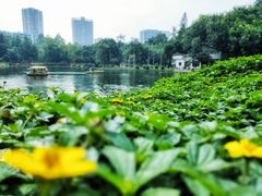 -晓港公园