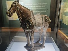 -衢州市博物馆