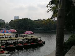 -荔湾湖公园