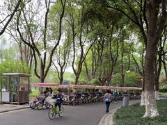 -昆山城市生态森林公园