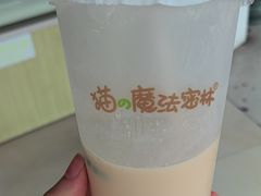 -猫的魔法密林(衣裳街店)