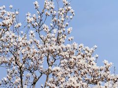 -宫事颐庭·老佛爷贵寿下午茶(颐和园店)