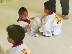 -勇气斑马·巴西柔术&跆拳道(浦东三林店)