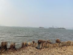 -长广溪湿地公园