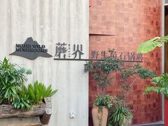 -蘑界·野生菌火锅(深业上城店)