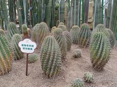 -南山植物园
