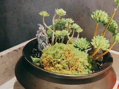 -百富源·海鲜辽菜(浑河堡店)
