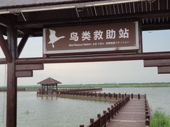 -南大港湿地风景区