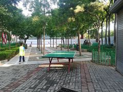 -双榆树公园