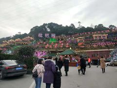 -枇杷园食为鲜火锅(南山店)