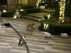 -杭州君悦酒店·青莳