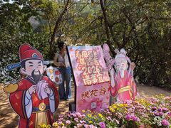 -南国桃园旅游度假区