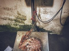 帝王蟹-盛港湾海鲜食府(黄沙店)