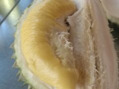 -都念榴莲·城市榴莲