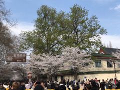 -UNI UNI(环亚凯瑟琳店)