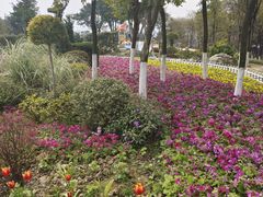 -铁山坪森林公园