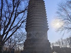 -玲珑塔公园