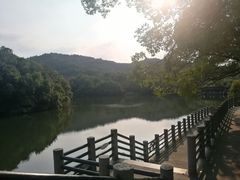 -白马涧龙池景区