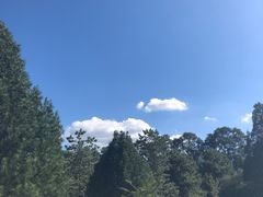 -秦始皇帝陵博物院-丽山园