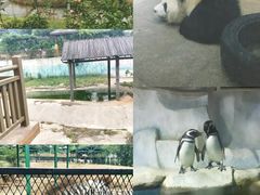 -无锡动物园·太湖欢乐园