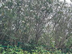 -幕燕滨江·燕子矶公园