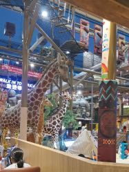 -卡通尼·Safari非洲探索乐园·生日会(金桥国际商业广场店)