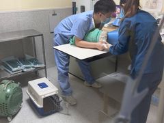 -谐和贝康宠物医院24小时·宠保定点(急重症转诊中心)
