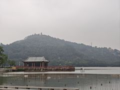 -顺峰山公园