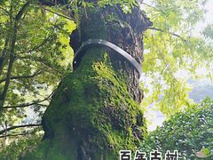 -汇龙潭
