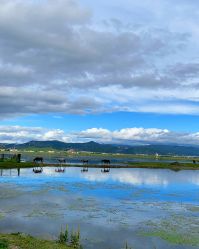 -纳帕海依拉草原