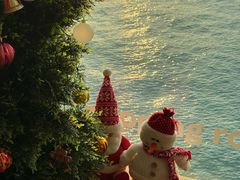 -Cupping Room(Harbour City)