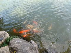 -珠海圆明新园