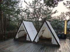 -天目湖涵田半山温泉