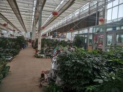 -煲来饱去冷水鱼
