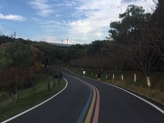 -金陵矩阵(聚宝山公园店)