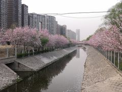 -方恒购物中心(望京小街店)