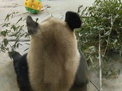 -杭州野生动物世界