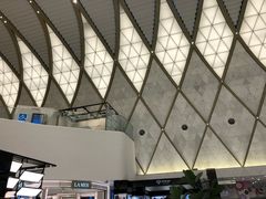 -乐天免税店(明洞店)