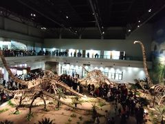 -自贡恐龙博物馆