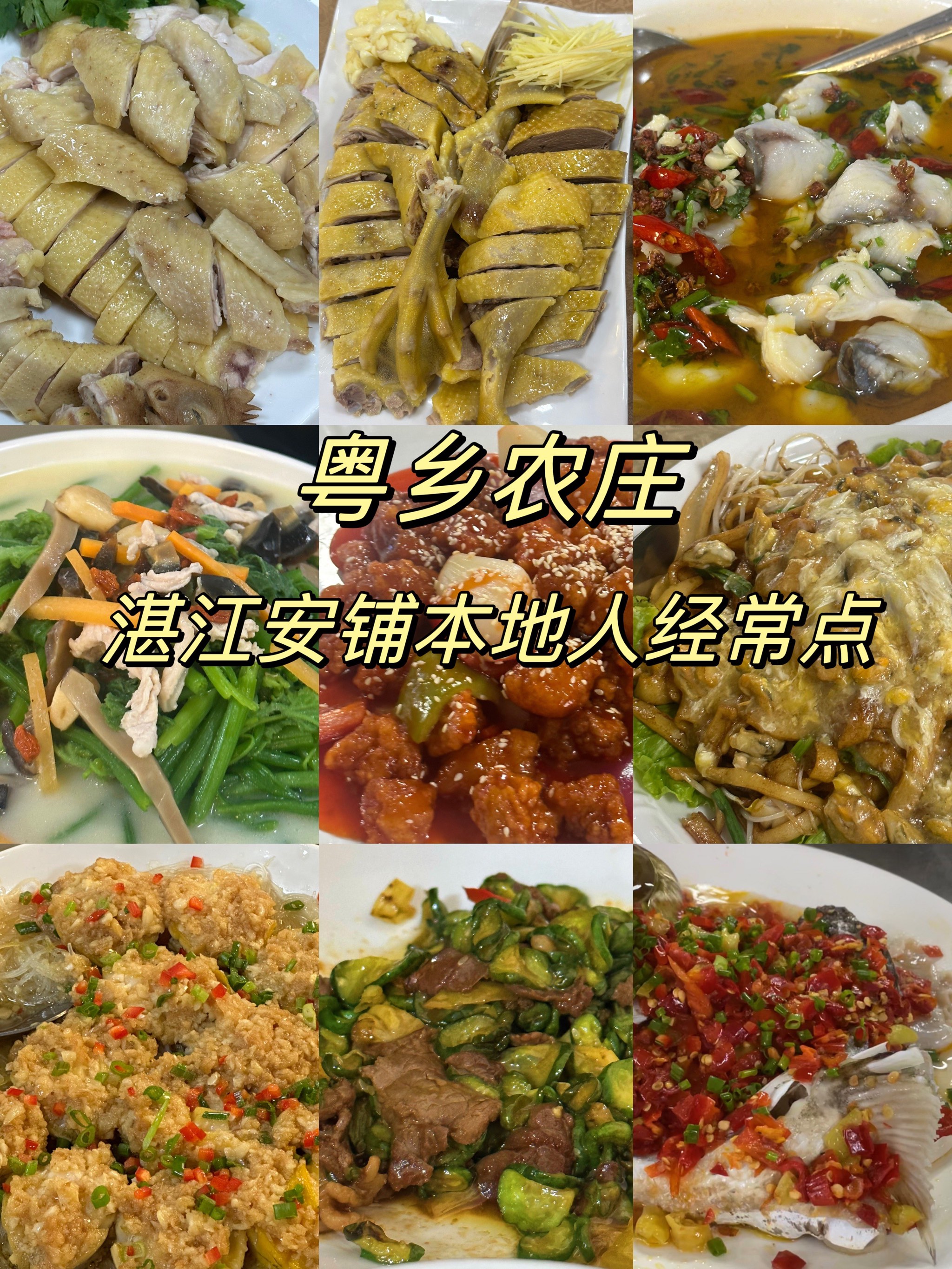 安铺鸡总部农庄图片