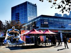 -证大大拇指广场(芳甸路店)