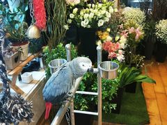 -森野花艺培训·企业团建活动沙龙