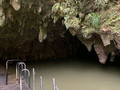 -怀托摩萤火虫洞