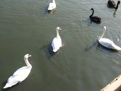 -石家庄市动物园